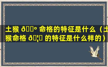 土猴 🐺 命格的特征是什么（土猴命格 🦋 的特征是什么样的）